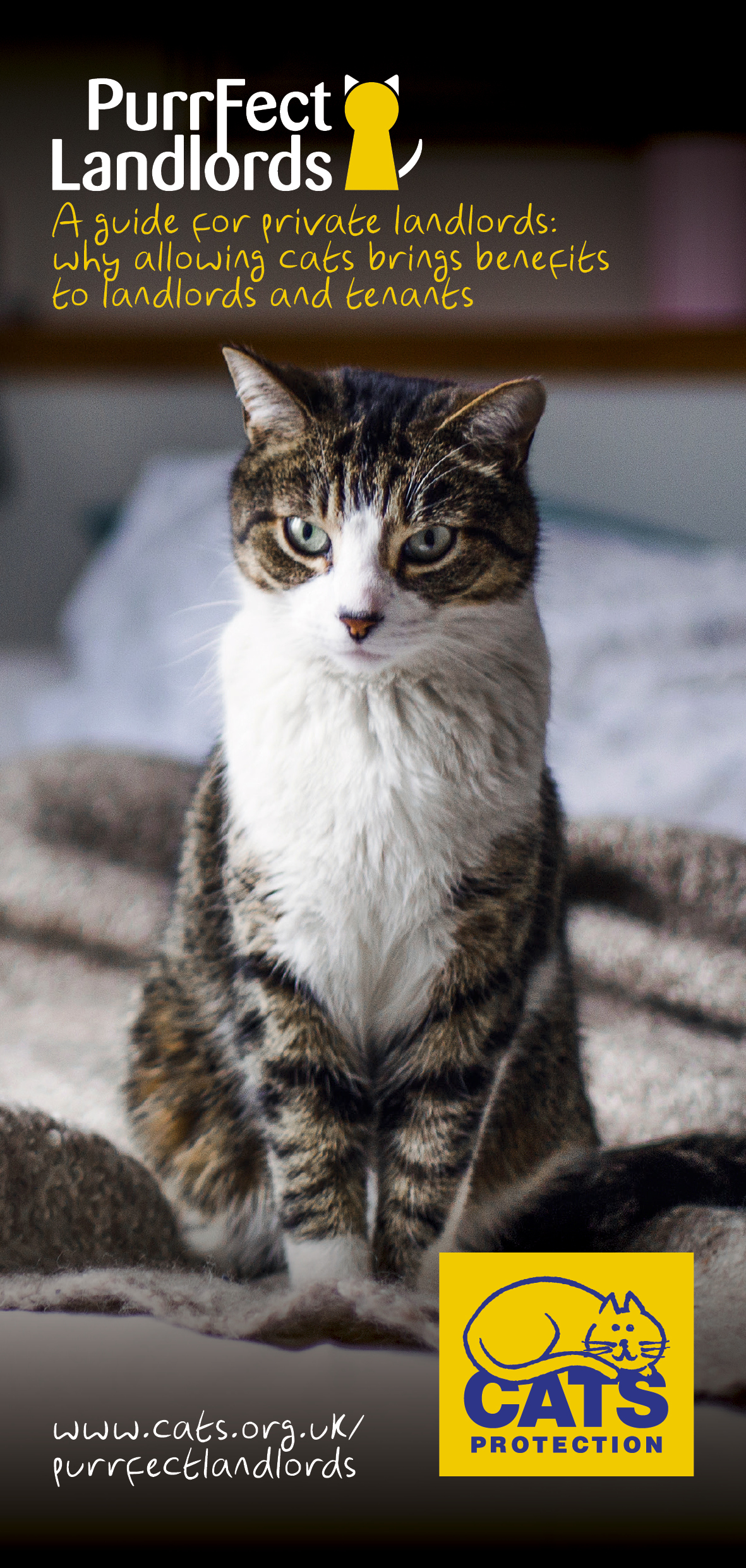 Private landlords Purrfect Landlords Cats Protection